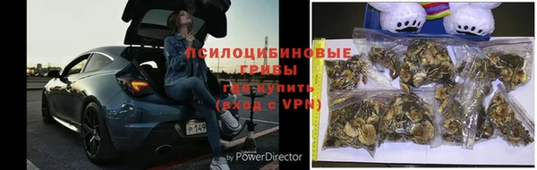 apvp Аркадак