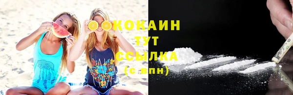 стаф Арсеньев