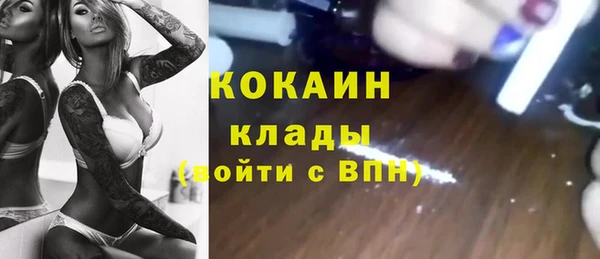 стаф Арсеньев