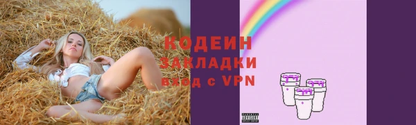стаф Арсеньев