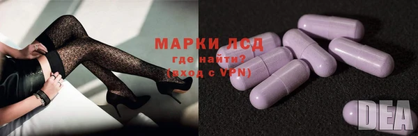 apvp Аркадак