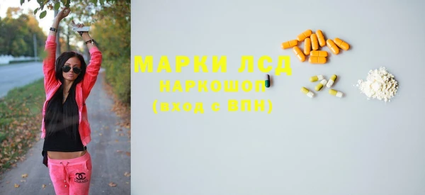стаф Арсеньев