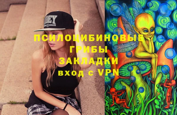 стаф Арсеньев