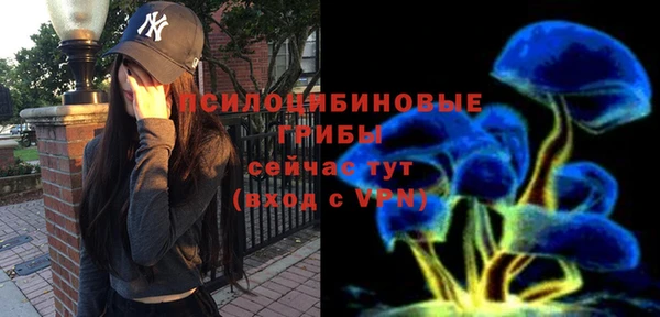 стаф Арсеньев