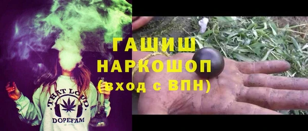 стаф Арсеньев