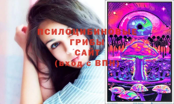 стаф Арсеньев