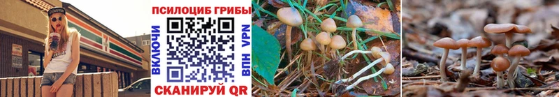 Галлюциногенные грибы GOLDEN TEACHER  Сим 
